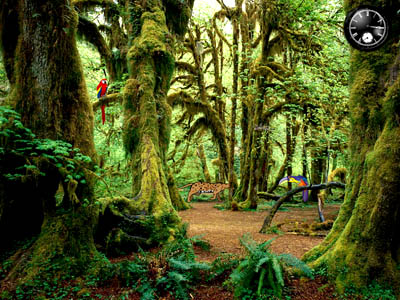 Vuoi sentire la vera foresta tropicale nella giungla?